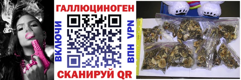 Купить где  Гаврилов Посад  Галлюциногенные грибы ЛСД 